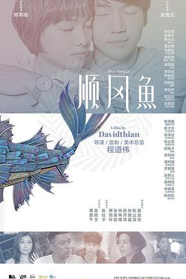 清晰在线播放观看